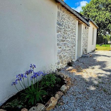 Gite De Felicite, Calme Et Nature Savenay Kültér fotó
